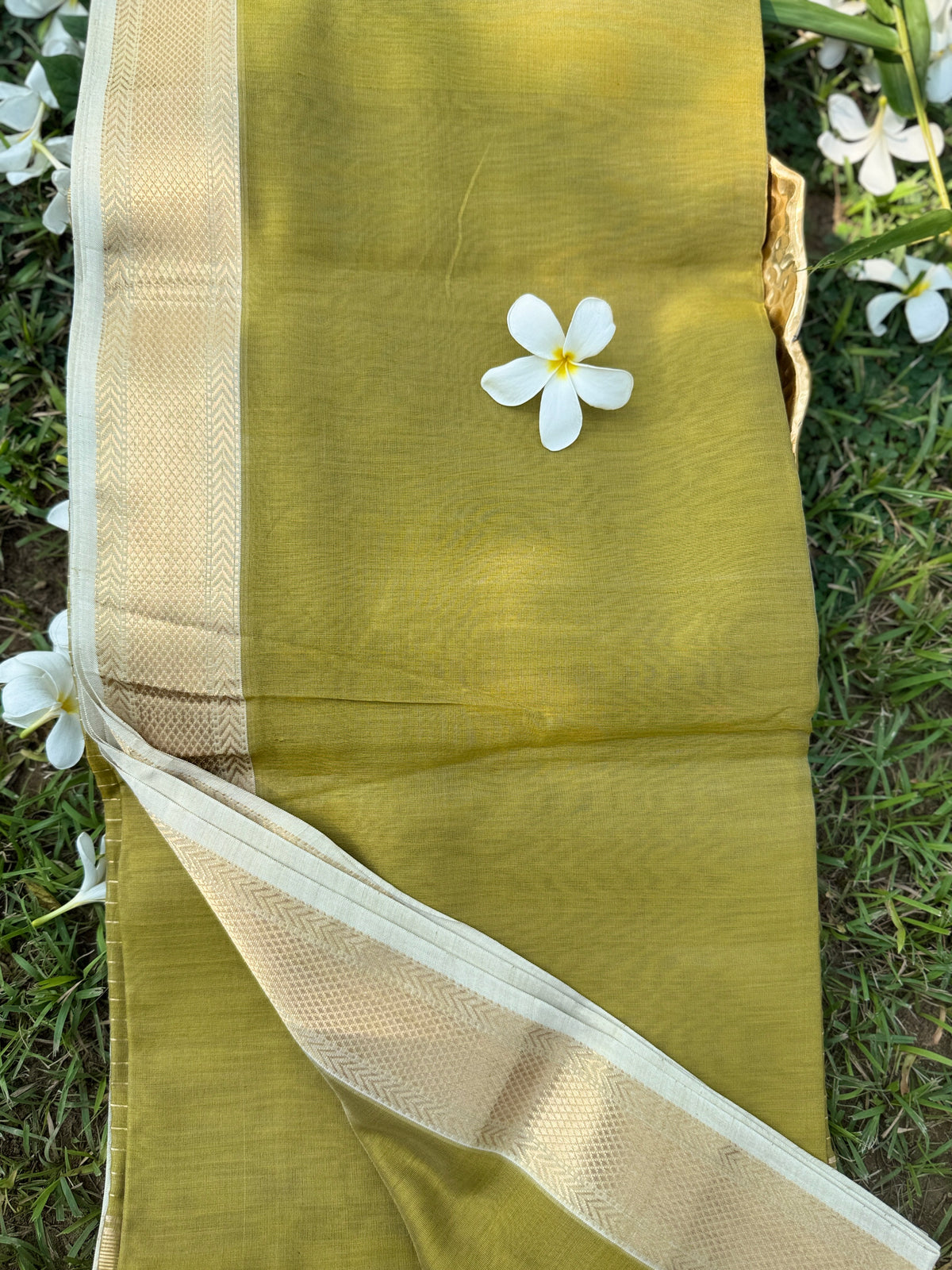 Olive Green Maheshwari Silk Saree with Golden Zari Border